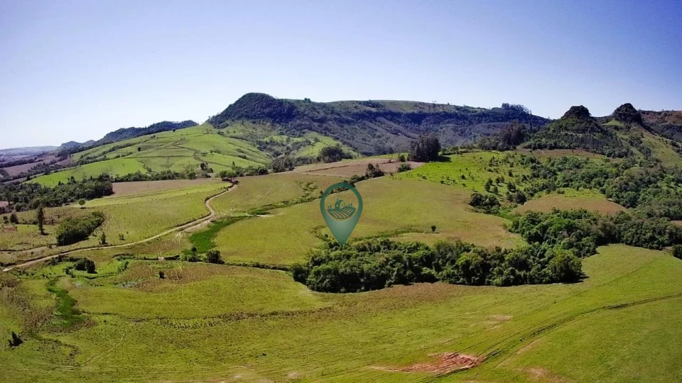 Imagens do imóveis Fazenda/Sítios/Chácaras À Venda Canta Galo Rio Branco Do Ivaí