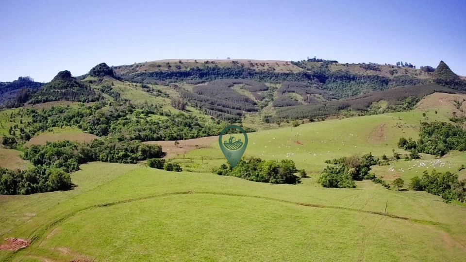 Imagens do imóveis Fazenda/Sítios/Chácaras À Venda Canta Galo Rio Branco Do Ivaí