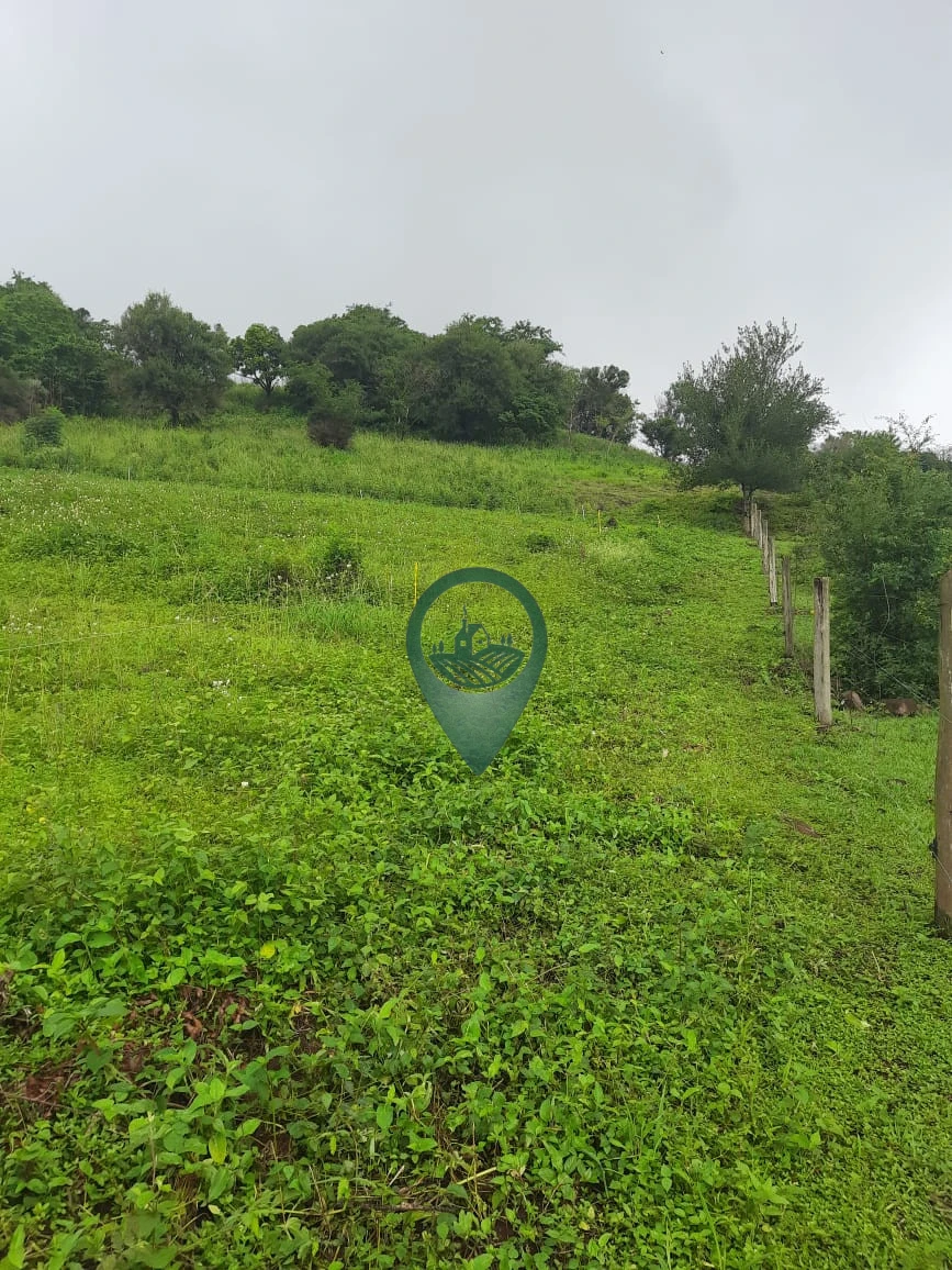 Imagens do imóveis Fazenda/Sítios/Chácaras À Venda Rural Londrina