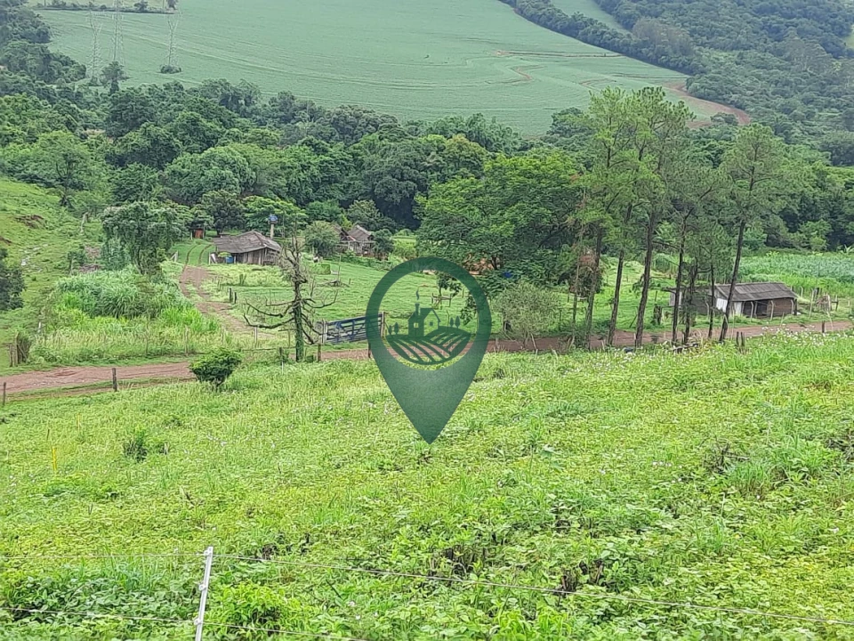 Imagens do imóveis Fazenda/Sítios/Chácaras À Venda Rural Londrina