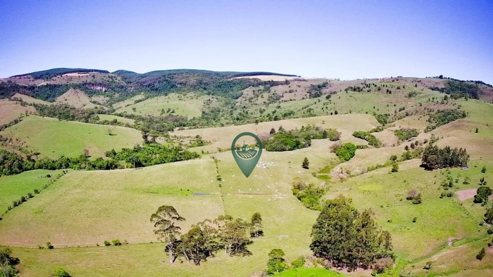 Imagens do imóveis Fazenda/Sítios/Chácaras À Venda Canta Galo Rio Branco Do Ivaí