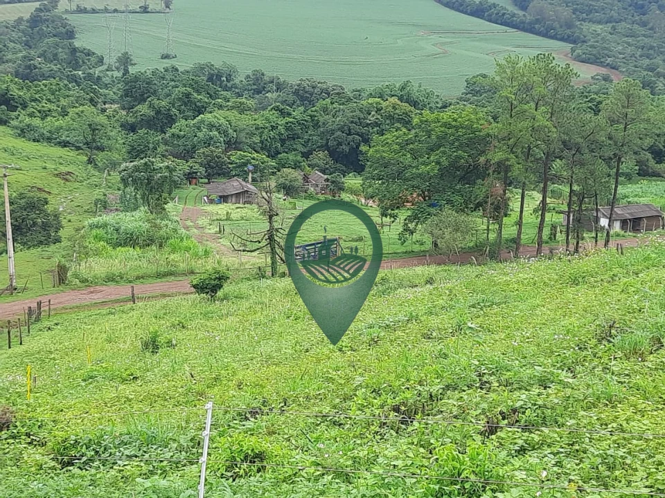 Imagens do imóveis Fazenda/Sítios/Chácaras À Venda Rural Londrina