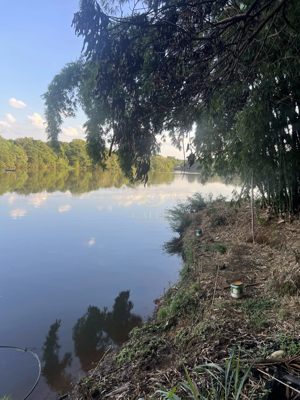 Imagens do imóveis Fazenda/Sítios/Chácaras À Venda Poço Bonito Rural Londrina