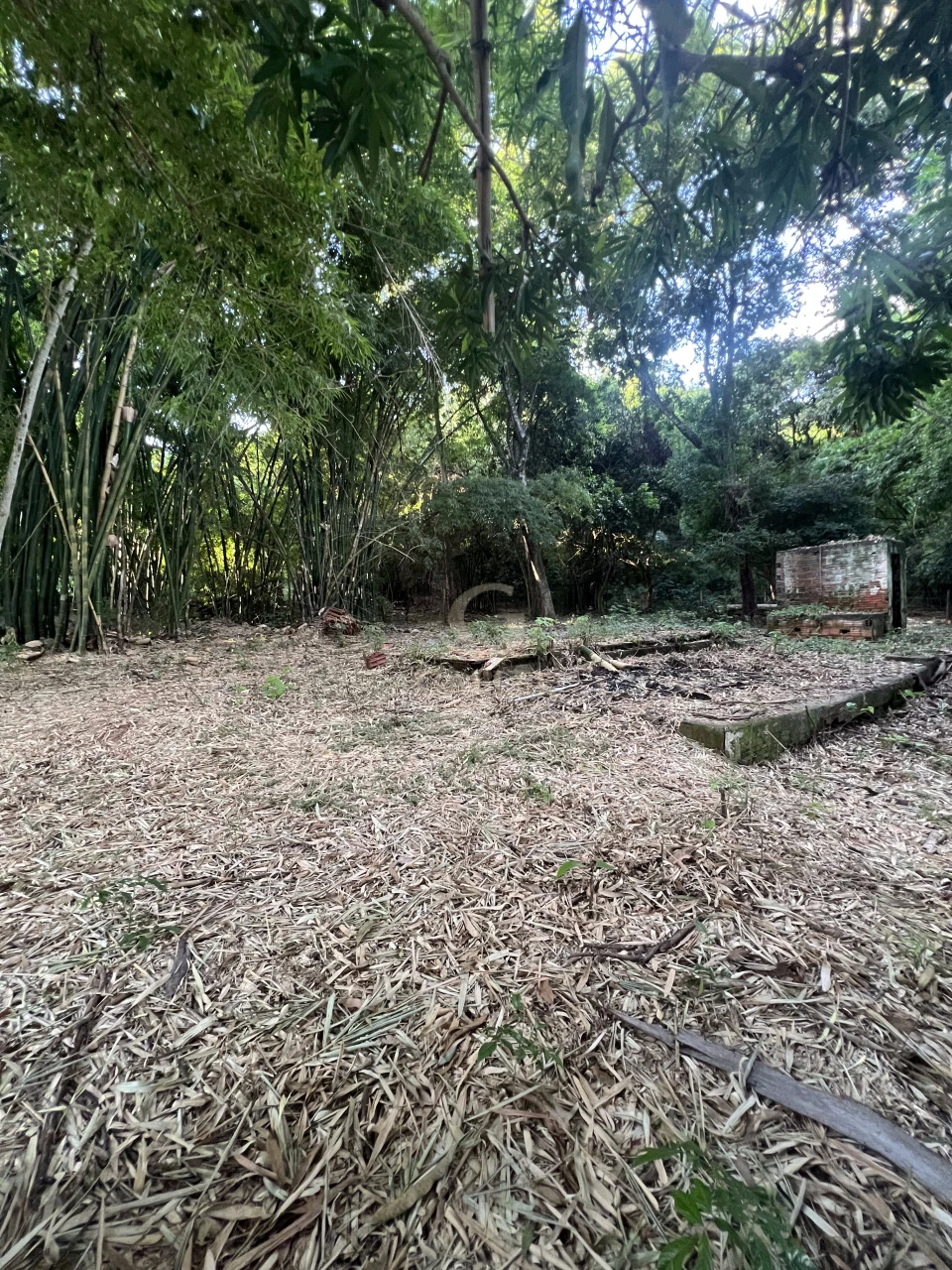 Imagens do imóveis Fazenda/Sítios/Chácaras À Venda Poço Bonito Rural Londrina