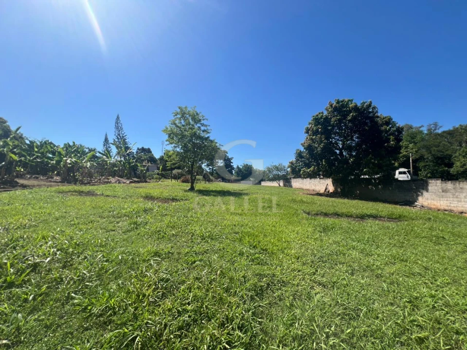 Chácara à Venda em Londrina 2.500m² – Zona Sul Gleba Cafezal Próximo ao Santarém