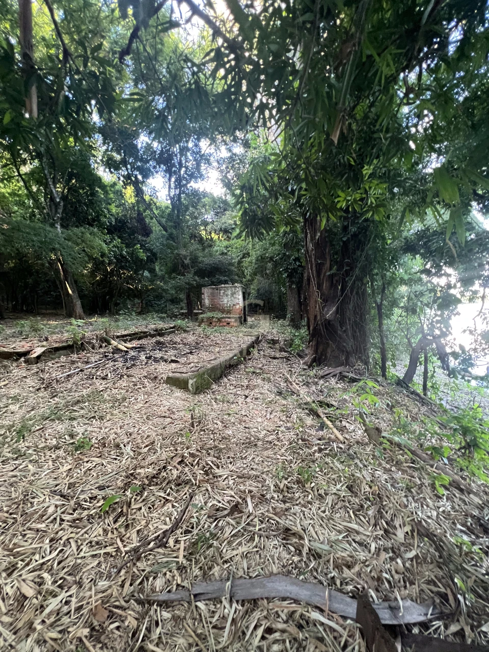 Imagens do imóveis Fazenda/Sítios/Chácaras À Venda Poço Bonito Rural Londrina