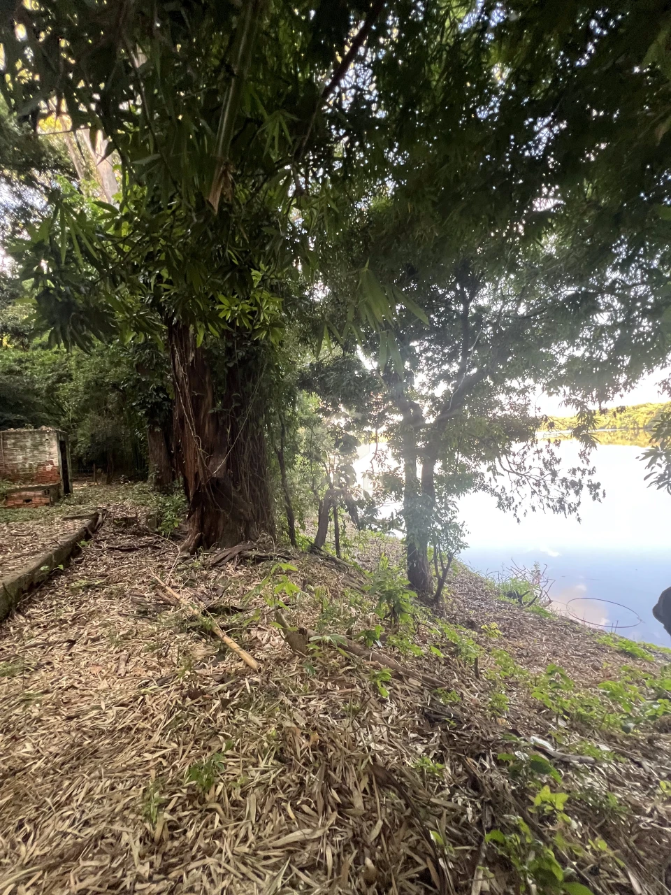 Imagens do imóveis Fazenda/Sítios/Chácaras À Venda Poço Bonito Rural Londrina