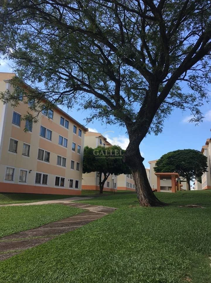 Imagens do imóveis Apartamento Barato Térreo 3 Quartos À Venda No Jardim Das Américas  Em Londrina Próximo Ao Autódromo