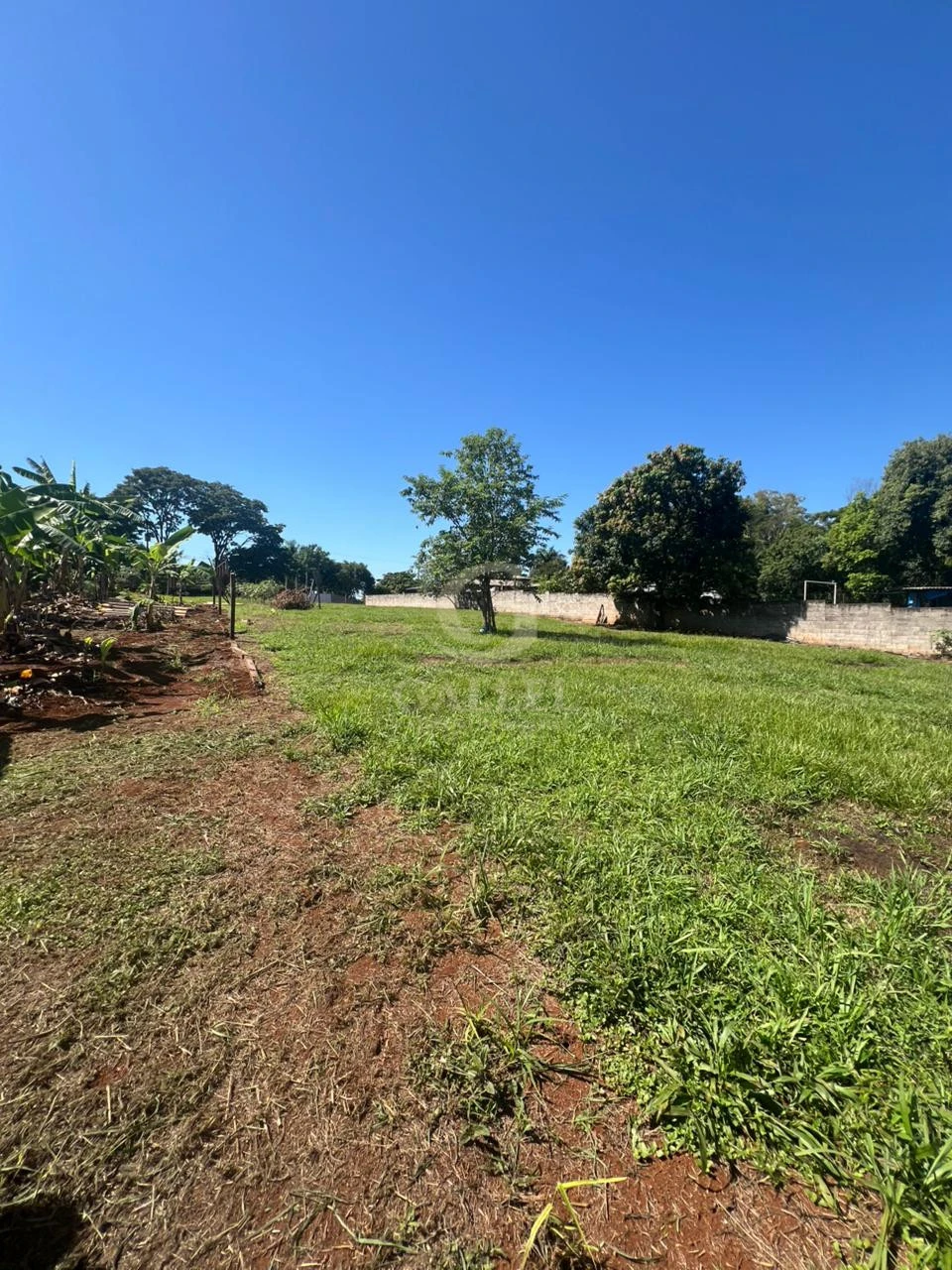 Chácara à Venda em Londrina 2.500m² – Zona Sul Gleba Cafezal Próximo ao Santarém