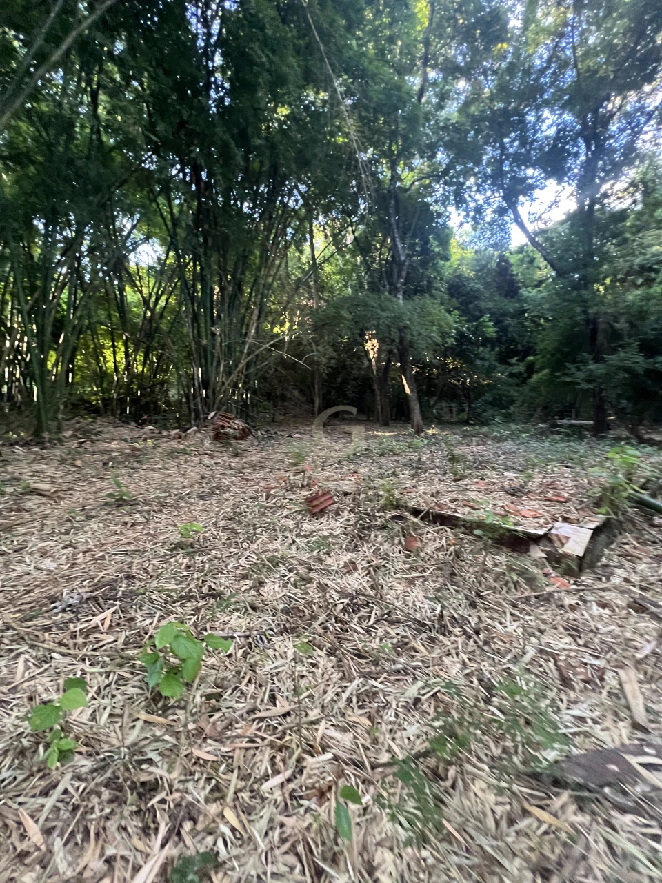 Imagens do imóveis Fazenda/Sítios/Chácaras À Venda Poço Bonito Rural Londrina