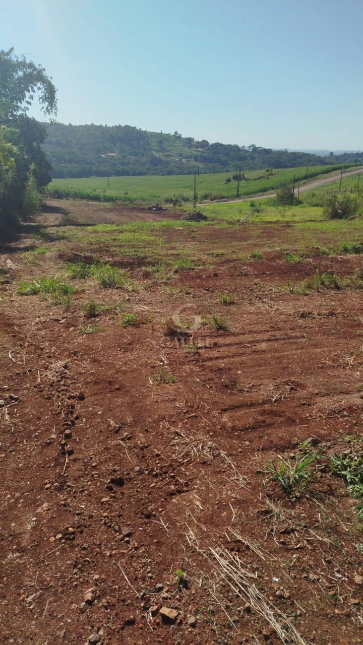 Imagens do imóveis Chácara 5.000m² À Venda Em Londrina, Beira Do Asfalto | Próx. Aeroporto | Alto Potencial
