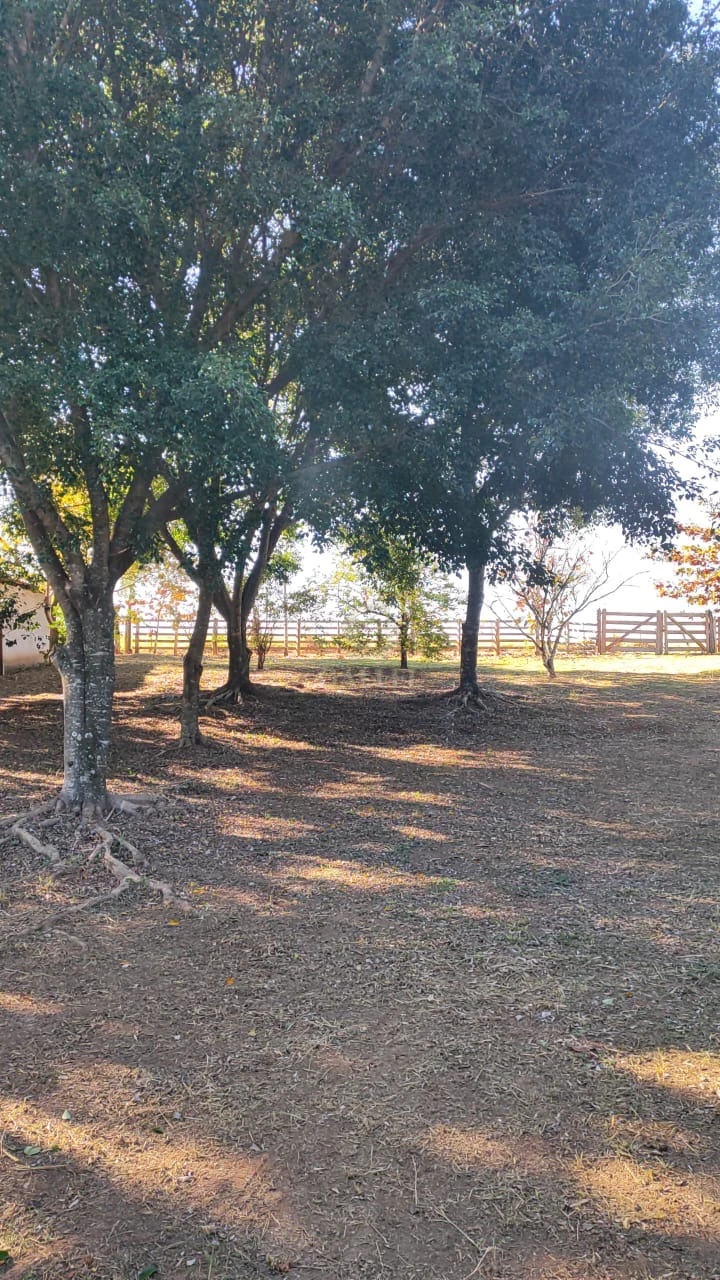 Imagens do imóveis Chácara À Venda Com Rio Nos Fundos, 5.000M² Em Jaboti/Pr | Oportunidade Imperdível