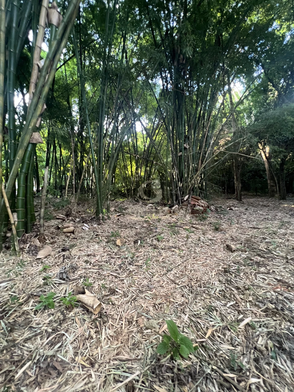 Imagens do imóveis Fazenda/Sítios/Chácaras À Venda Poço Bonito Rural Londrina