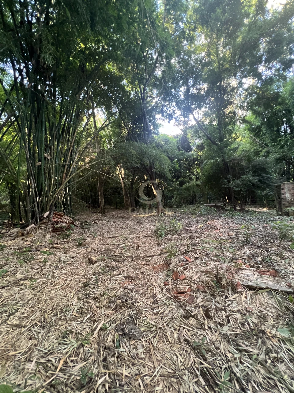 Imagens do imóveis Fazenda/Sítios/Chácaras À Venda Poço Bonito Rural Londrina