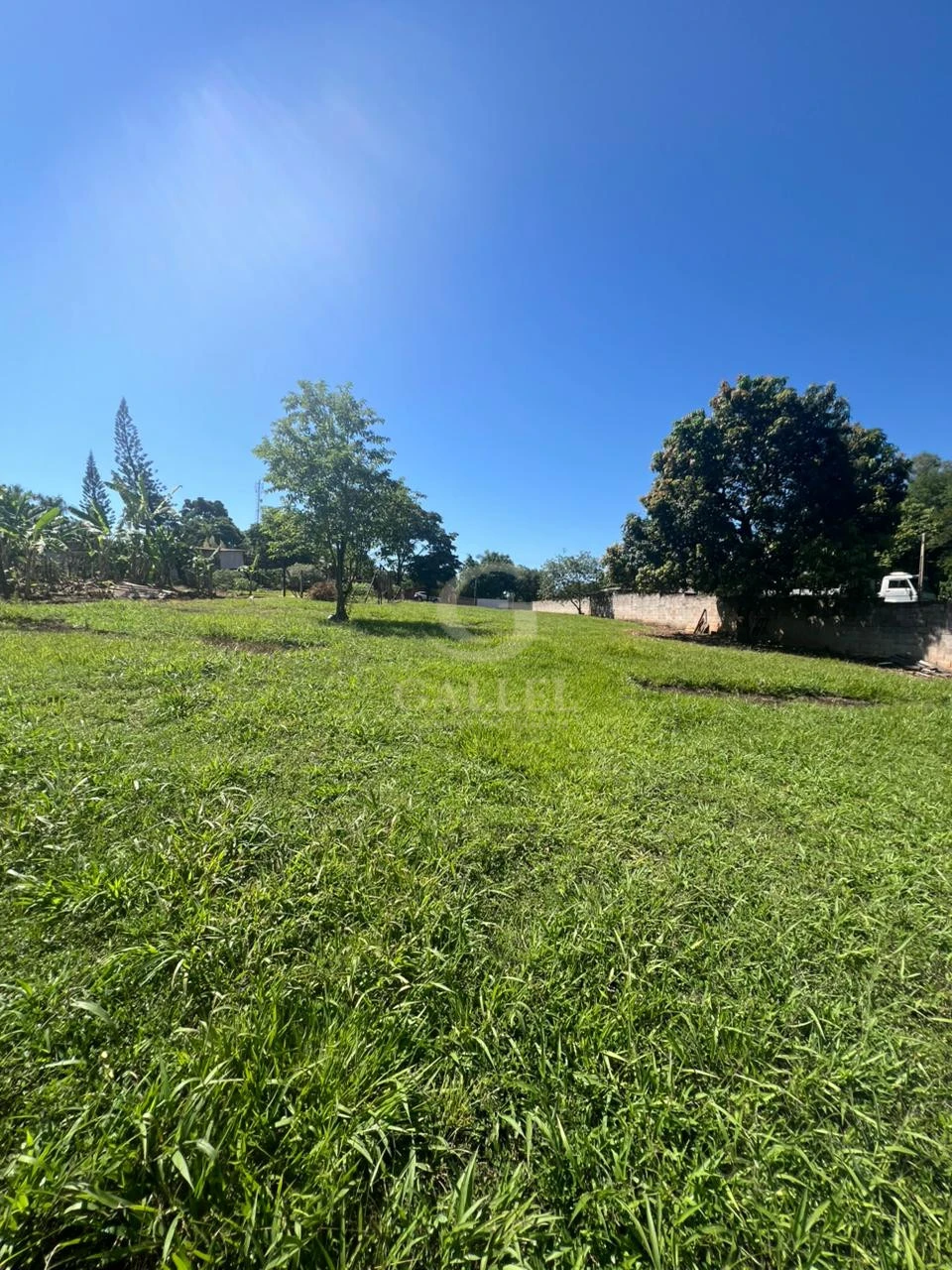 Chácara à Venda em Londrina 2.500m² – Zona Sul Gleba Cafezal Próximo ao Santarém