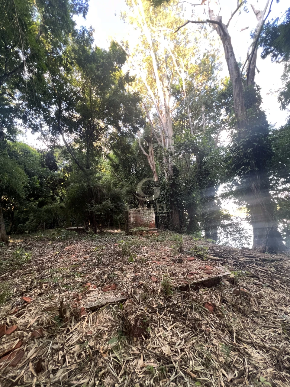 Imagens do imóveis Fazenda/Sítios/Chácaras À Venda Poço Bonito Rural Londrina