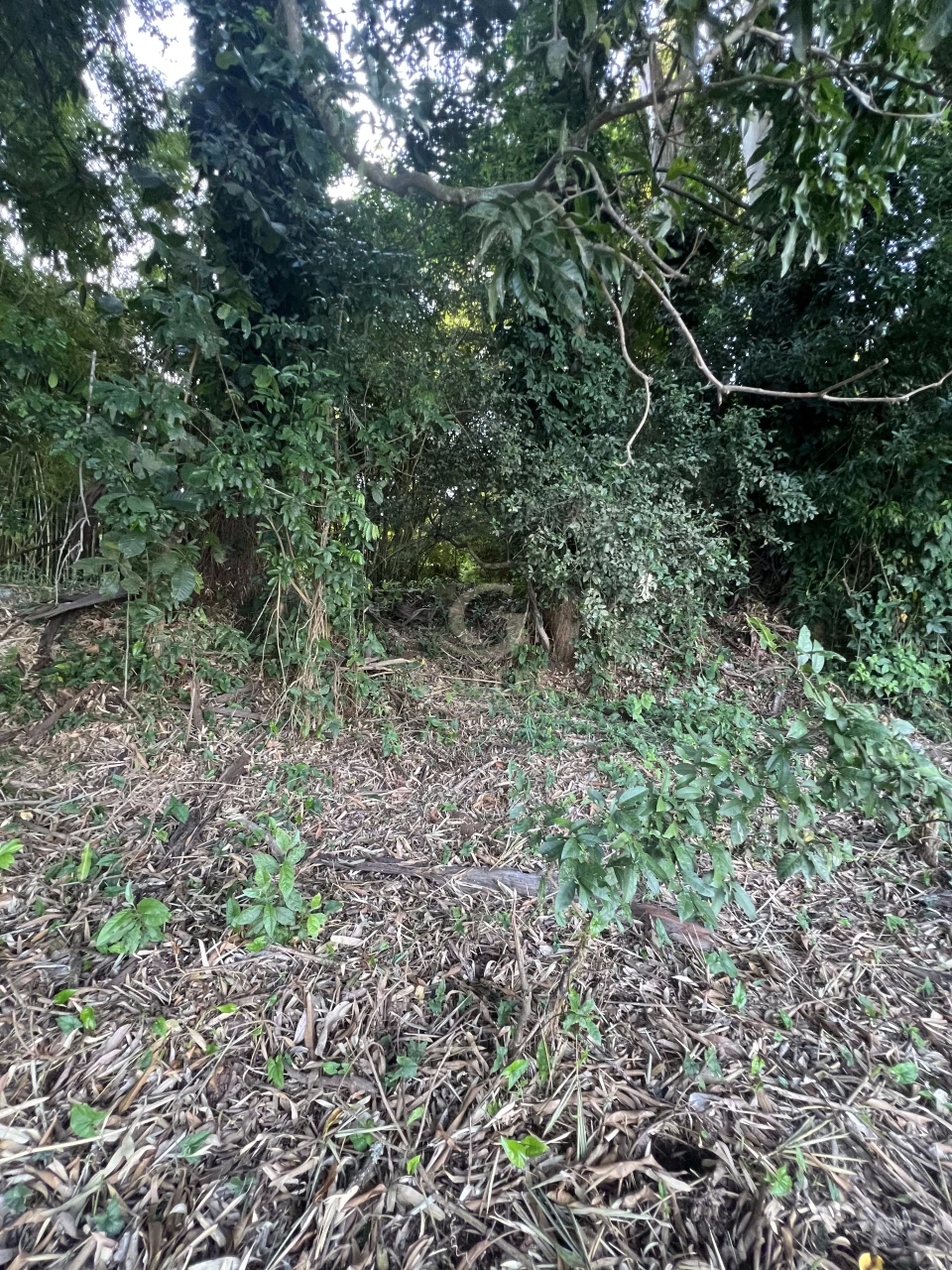 Imagens do imóveis Fazenda/Sítios/Chácaras À Venda Poço Bonito Rural Londrina