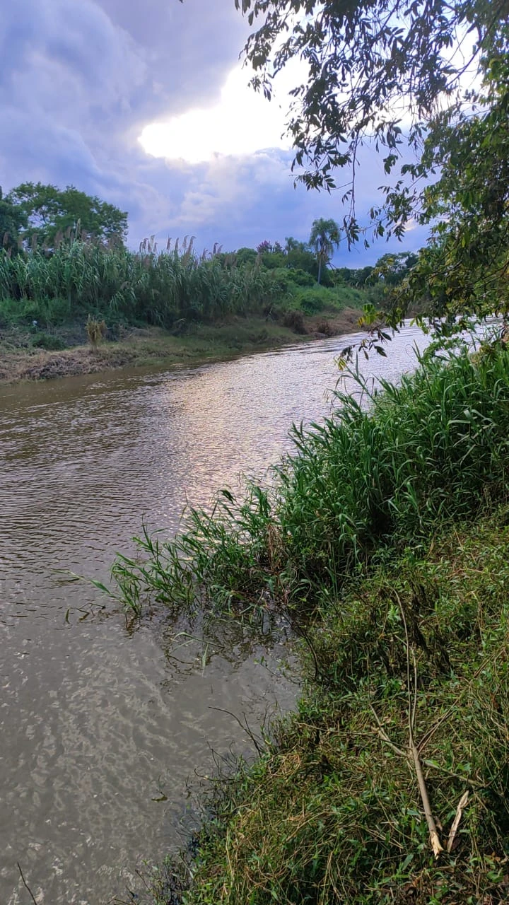 Imagens do imóveis Chácara À Venda Com Rio Nos Fundos, 5.000M² Em Jaboti/Pr | Oportunidade Imperdível