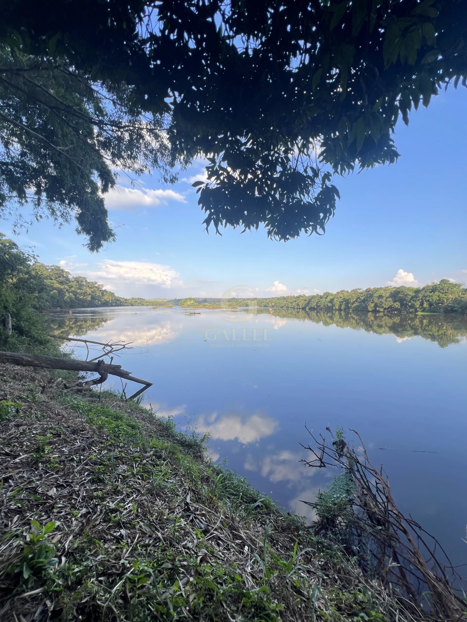 Imagens do imóveis Fazenda/Sítios/Chácaras À Venda Poço Bonito Rural Londrina