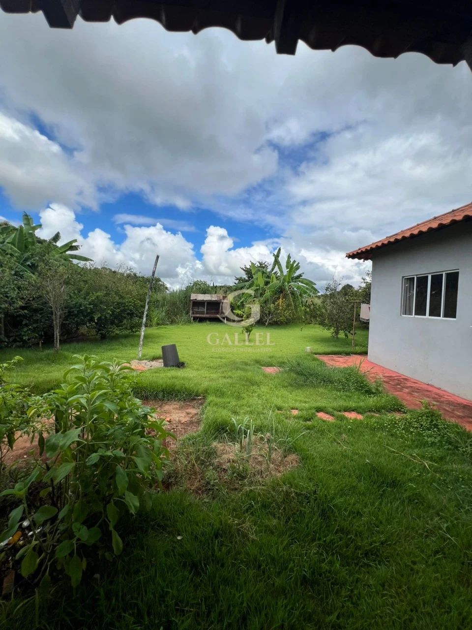 CHÁCARA À VENDA | 1.206m² DE TERRENO | 210m² DE CONSTRUÇÃO | 3 QUARTOS | PISCINA | LIMOEIRO