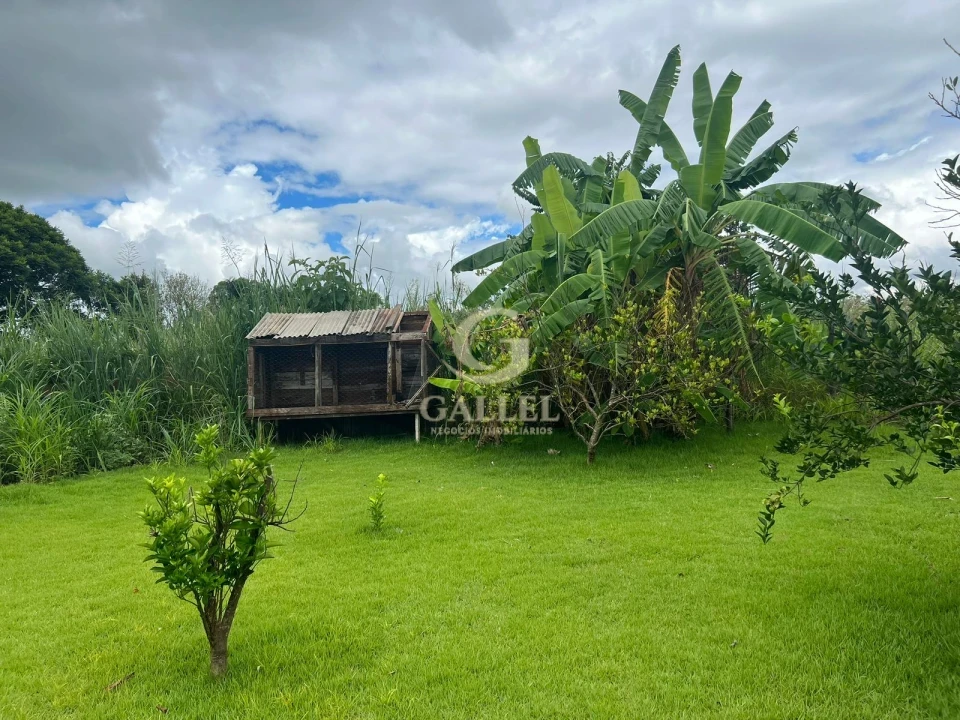 CHÁCARA À VENDA | 1.206m² DE TERRENO | 210m² DE CONSTRUÇÃO | 3 QUARTOS | PISCINA | LIMOEIRO