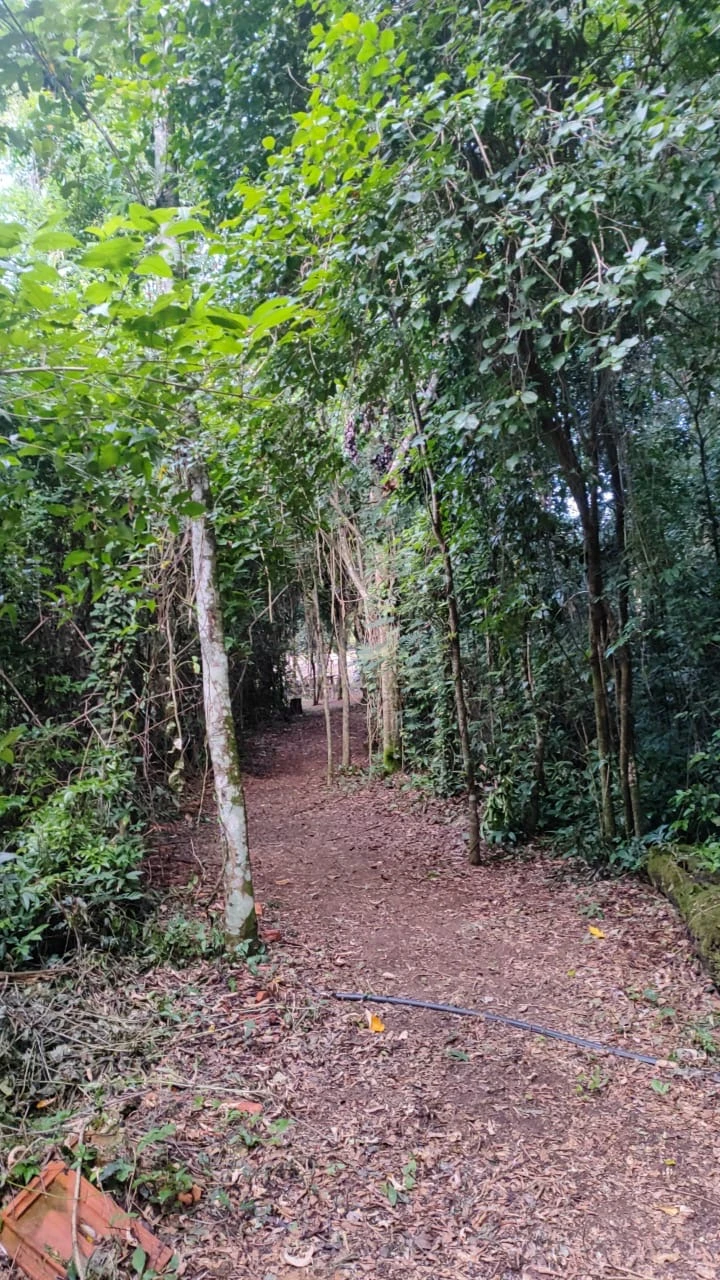 Imagens do imóveis Chácara À Venda Com Rio Nos Fundos, 5.000M² Em Jaboti/Pr | Oportunidade Imperdível