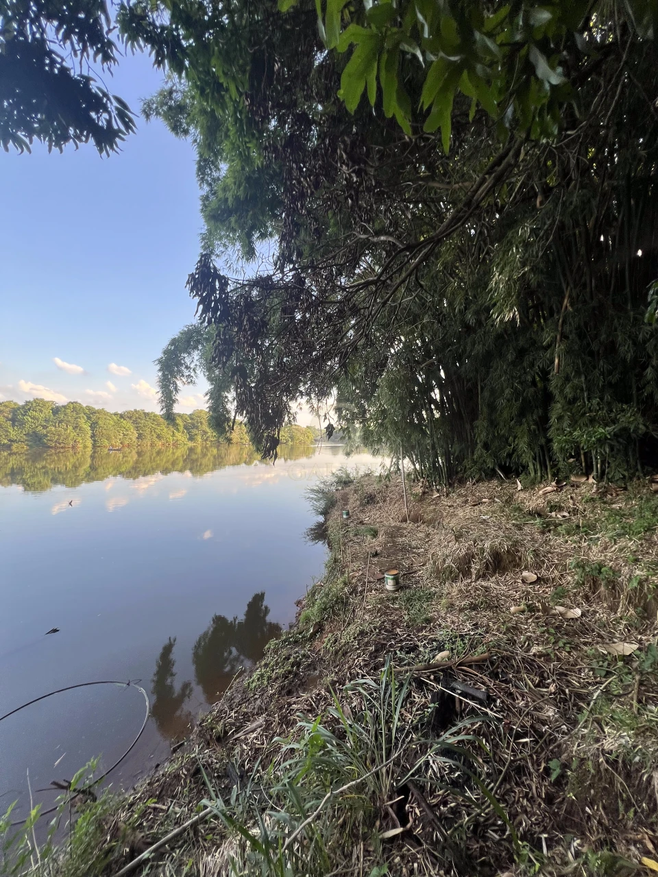 Imagens do imóveis Fazenda/Sítios/Chácaras À Venda Poço Bonito Rural Londrina