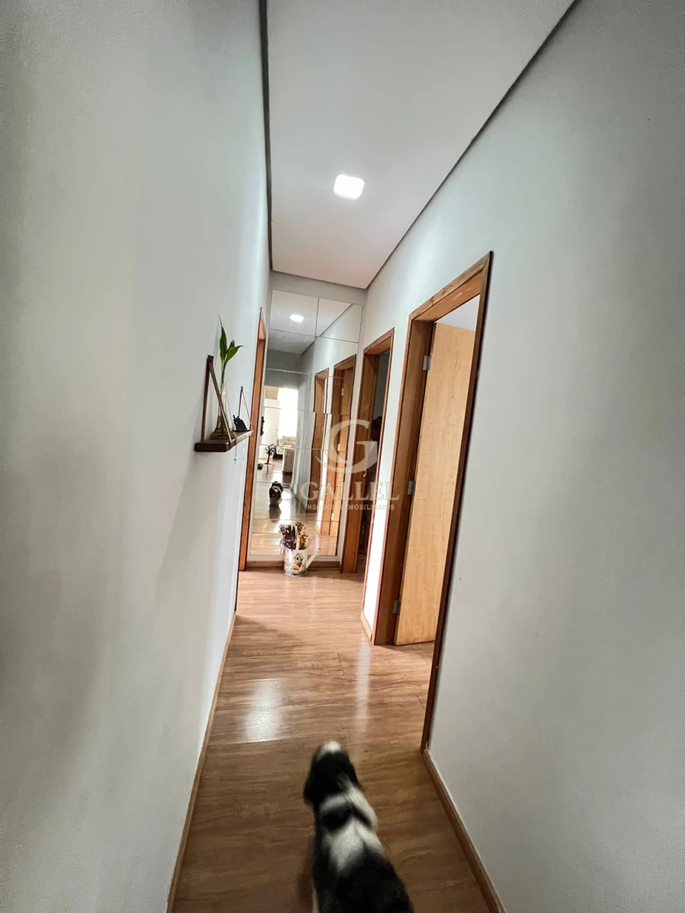 CHÁCARA À VENDA | 1.206m² DE TERRENO | 210m² DE CONSTRUÇÃO | 3 QUARTOS | PISCINA | LIMOEIRO