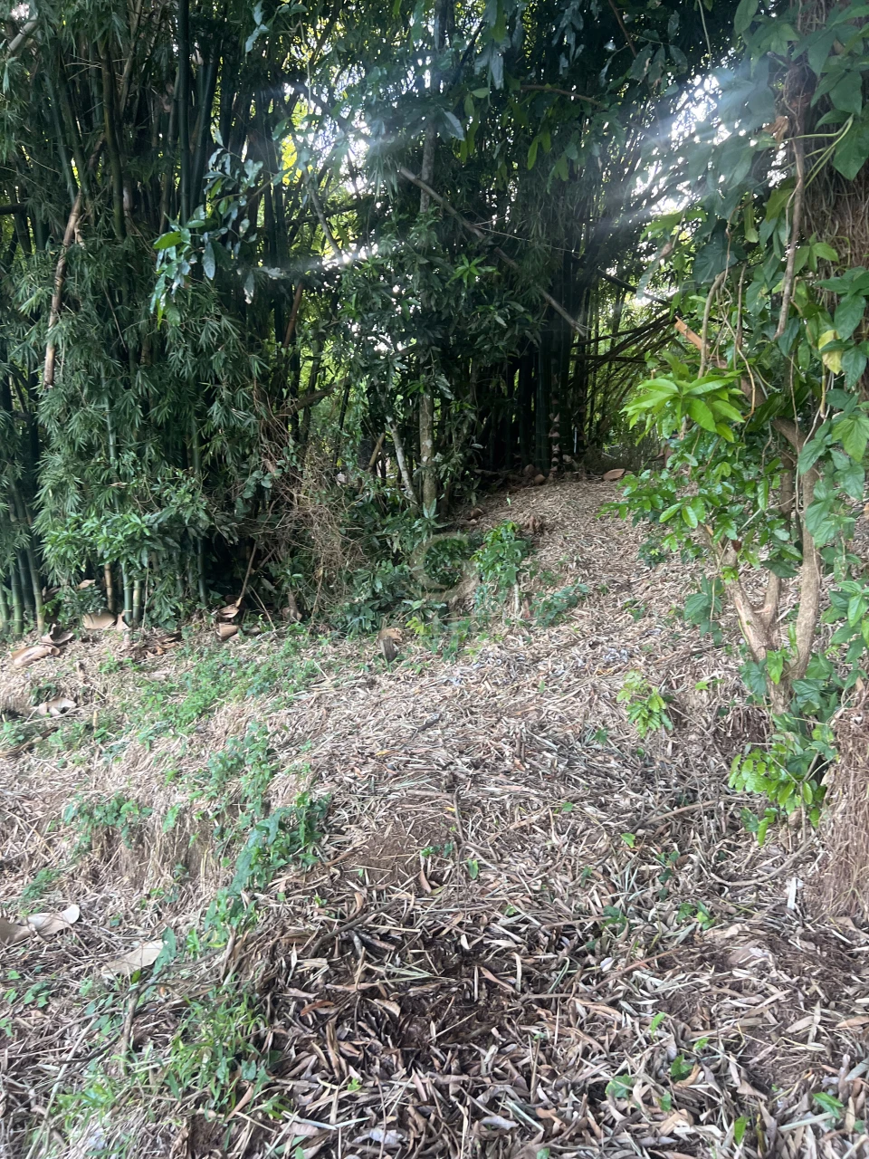 Imagens do imóveis Fazenda/Sítios/Chácaras À Venda Poço Bonito Rural Londrina