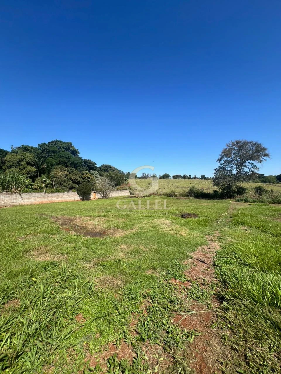 Chácara à Venda em Londrina 2.500m² – Zona Sul Gleba Cafezal Próximo ao Santarém