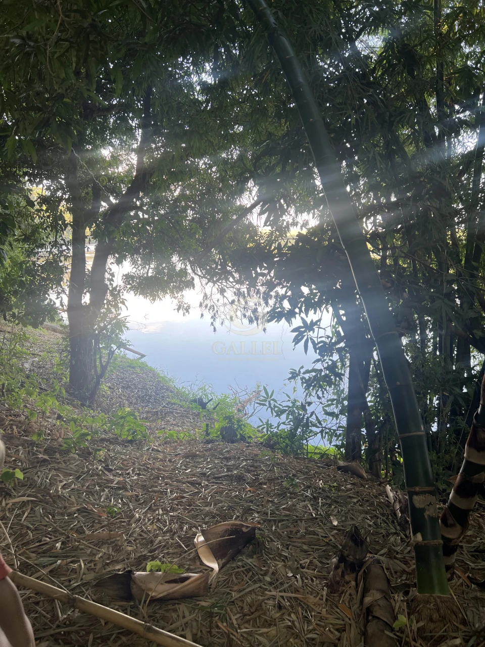 Imagens do imóveis Fazenda/Sítios/Chácaras À Venda Poço Bonito Rural Londrina
