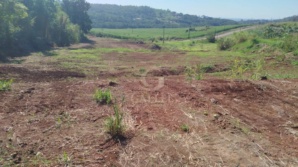 Imagens do imóveis Chácara 5.000m² À Venda Em Londrina, Beira Do Asfalto | Próx. Aeroporto | Alto Potencial