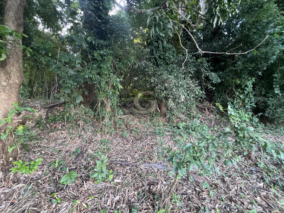 Imagens do imóveis Fazenda/Sítios/Chácaras À Venda Poço Bonito Rural Londrina