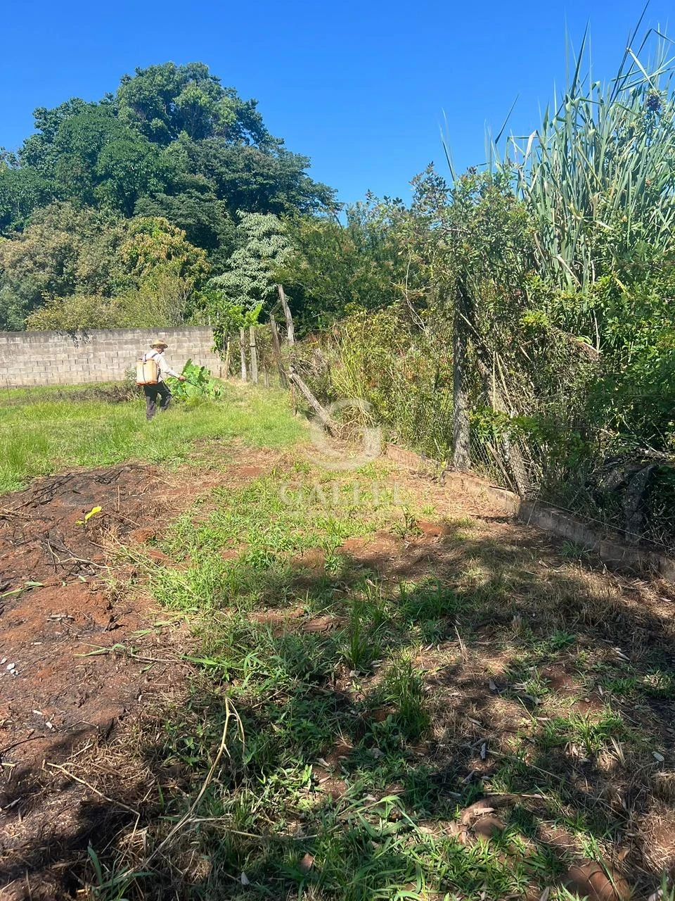 Chácara à Venda em Londrina 2.500m² – Zona Sul Gleba Cafezal Próximo ao Santarém