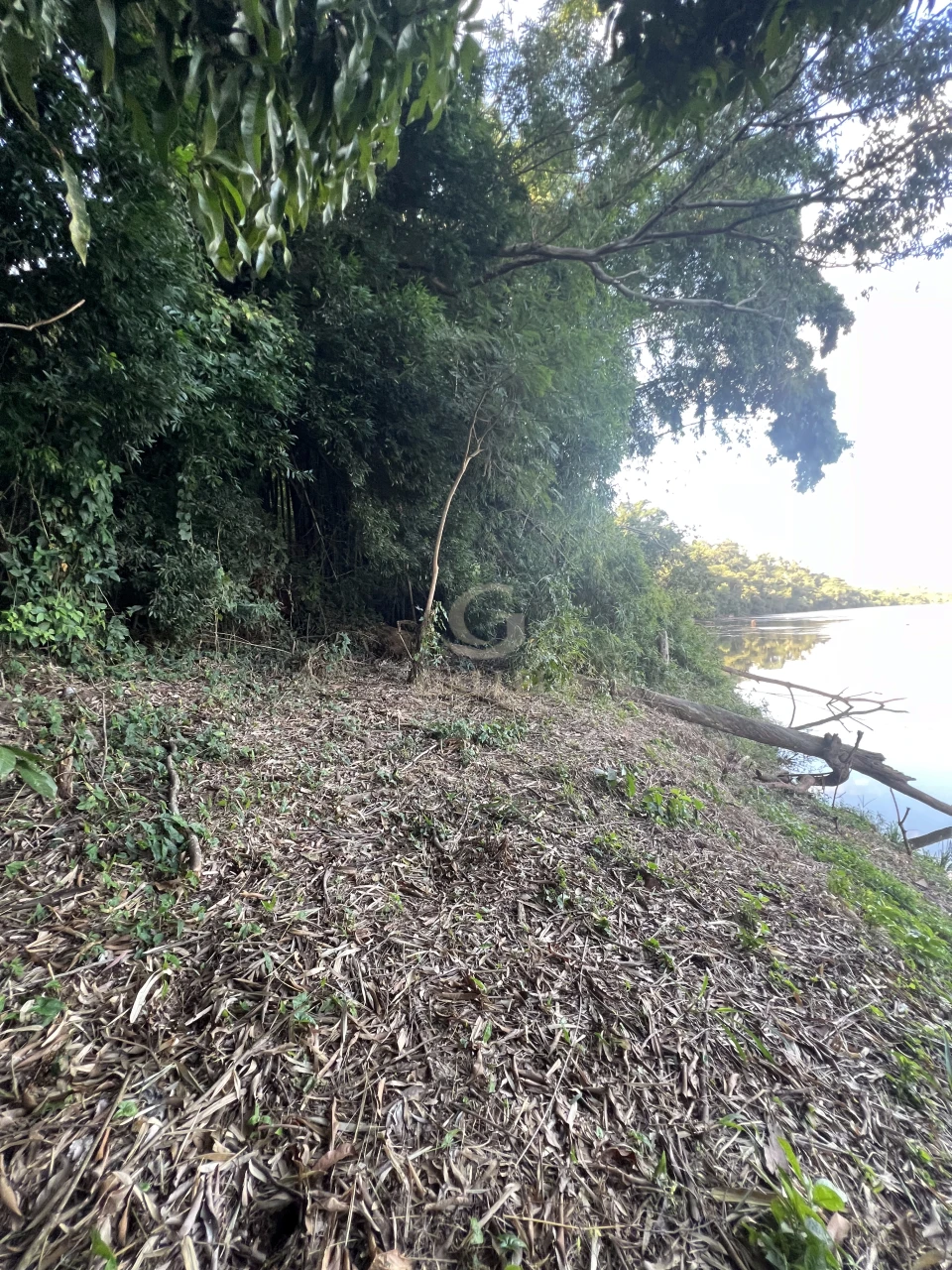 Imagens do imóveis Fazenda/Sítios/Chácaras À Venda Poço Bonito Rural Londrina