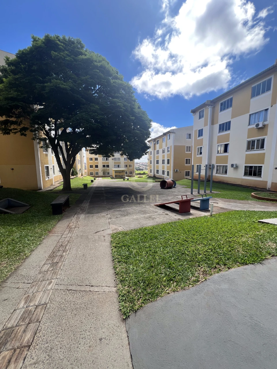Imagens do imóveis Apartamento Barato Térreo 3 Quartos À Venda No Jardim Das Américas  Em Londrina Próximo Ao Autódromo