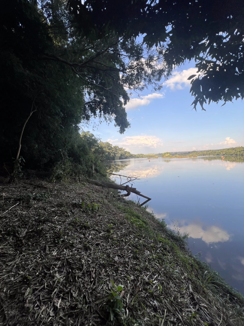 Imagens do imóveis Fazenda/Sítios/Chácaras À Venda Poço Bonito Rural Londrina