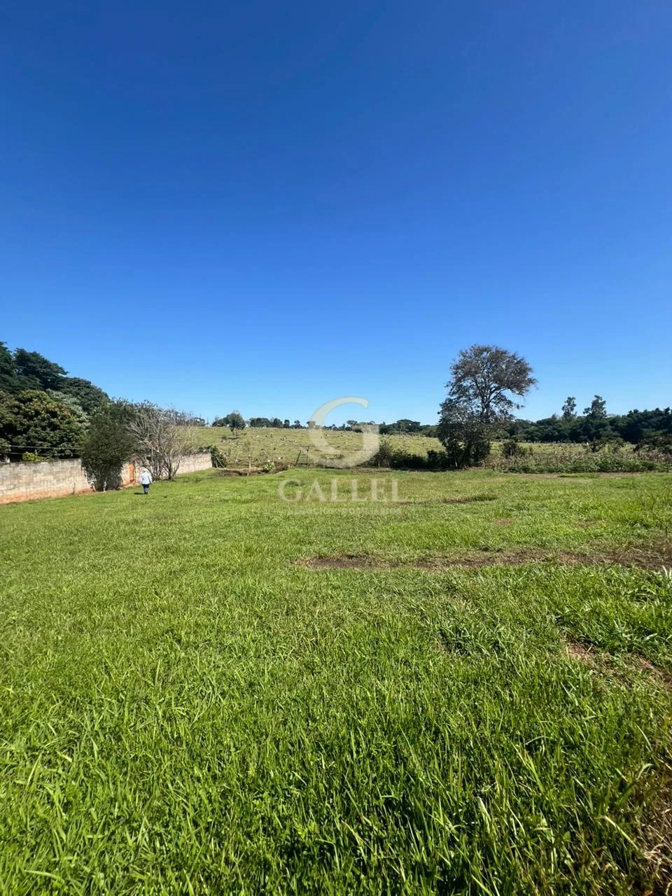 Chácara à Venda em Londrina 2.500m² – Zona Sul Gleba Cafezal Próximo ao Santarém