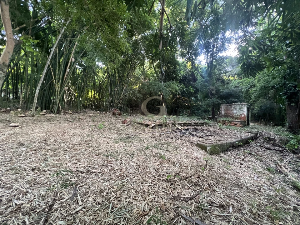 Imagens do imóveis Fazenda/Sítios/Chácaras À Venda Poço Bonito Rural Londrina