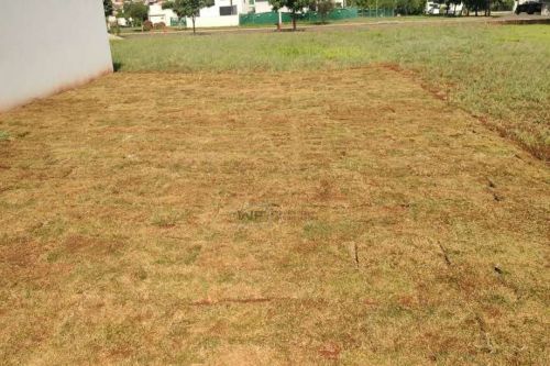 Parque Tauá - Araçari