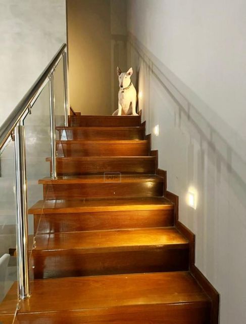 Casa no Condomínio Royal Forest