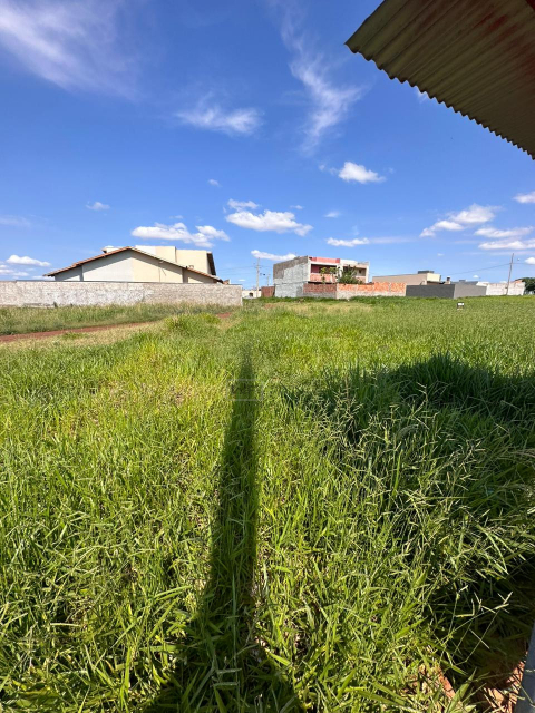 Imagens do imóveis Terreno 1.350m² Parque Industrial Buena Vista