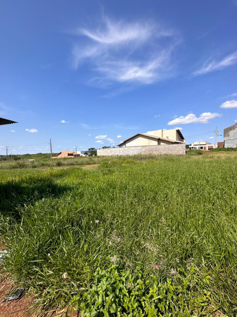 Imagens do imóveis Terreno 1.350m² Parque Industrial Buena Vista