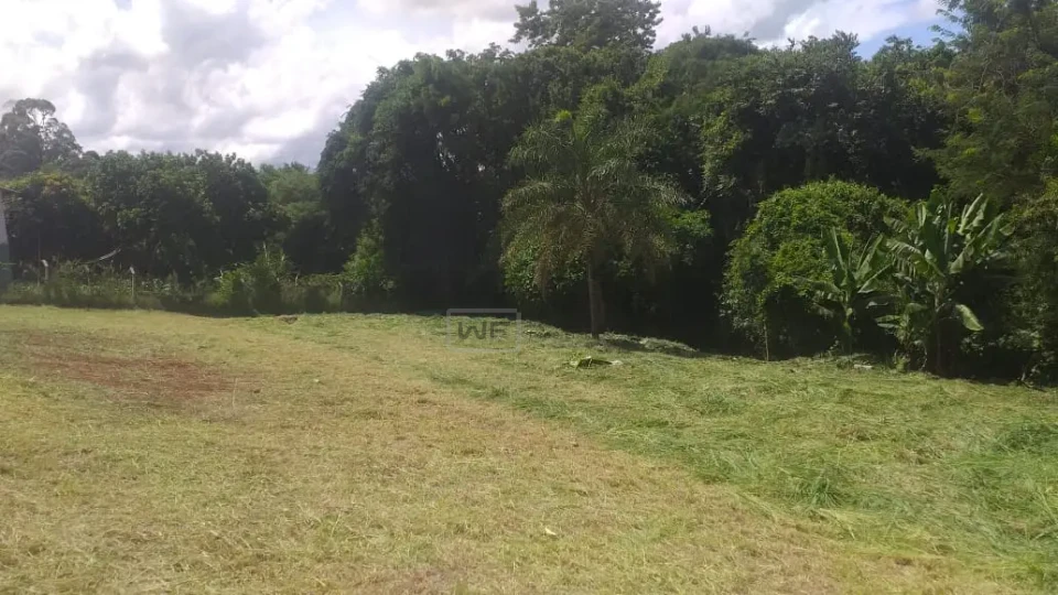 Terreno 3.000m² - Jardim Ana Eliza - Cambé