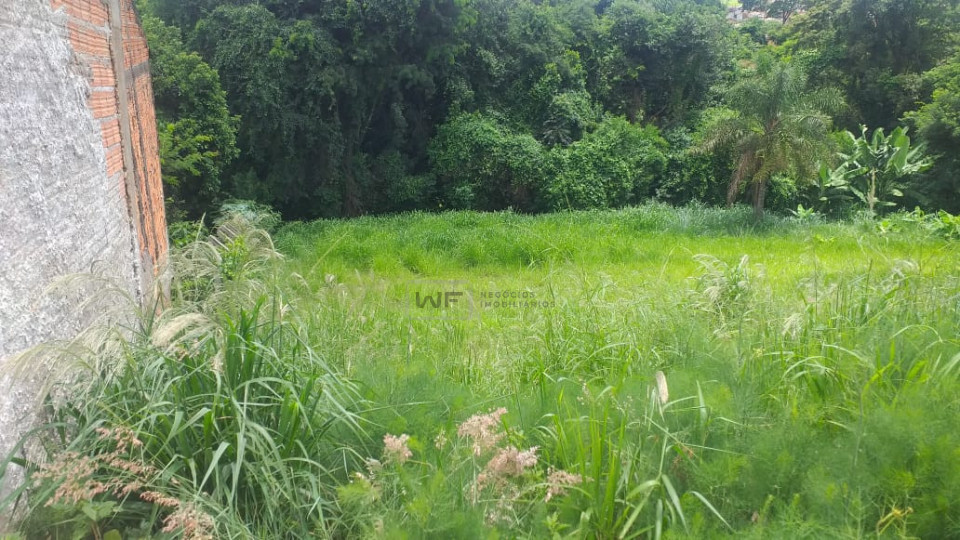 Terreno 3.000m² - Jardim Ana Eliza - Cambé